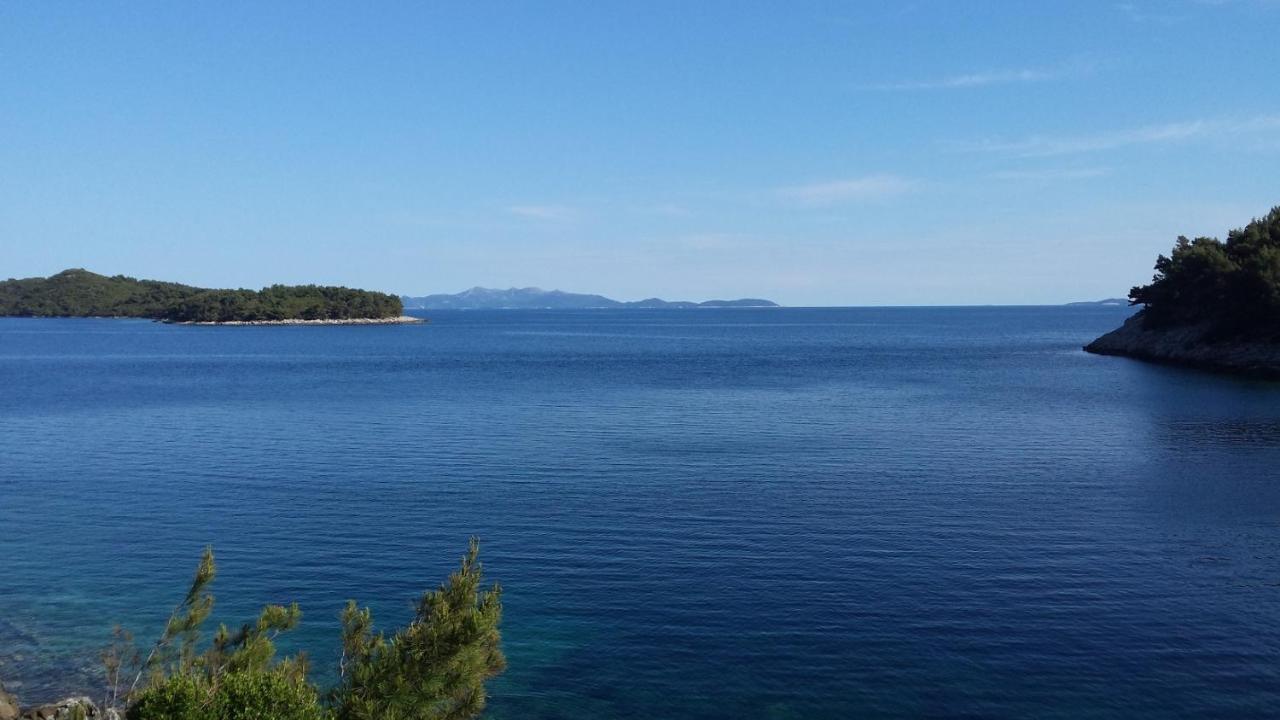 Apartments By The Sea Cove Zaglav, Korcula - 12208 * Prizba